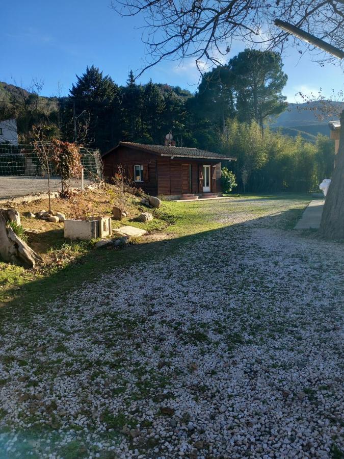 Petit Chalet En Bois Reynès Εξωτερικό φωτογραφία